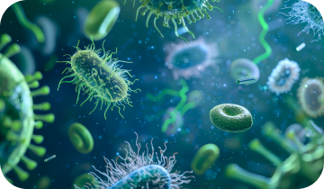 Illustration of harmful LPS toxins in the bloodstream, from the official product page